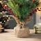 20" Unlit Cardinal Artificial Tabletop Christmas Tree